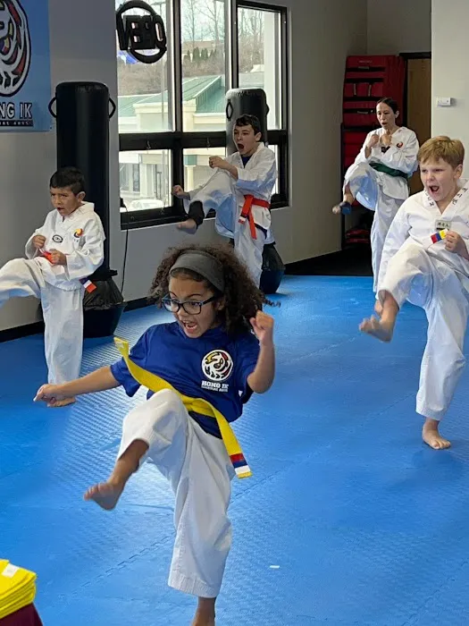 Hong Ik Martial Arts Picture 5