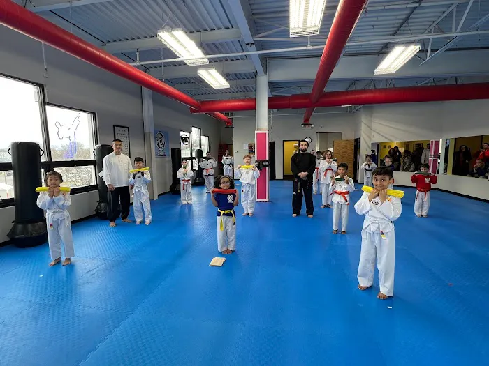 Hong Ik Martial Arts Picture 2