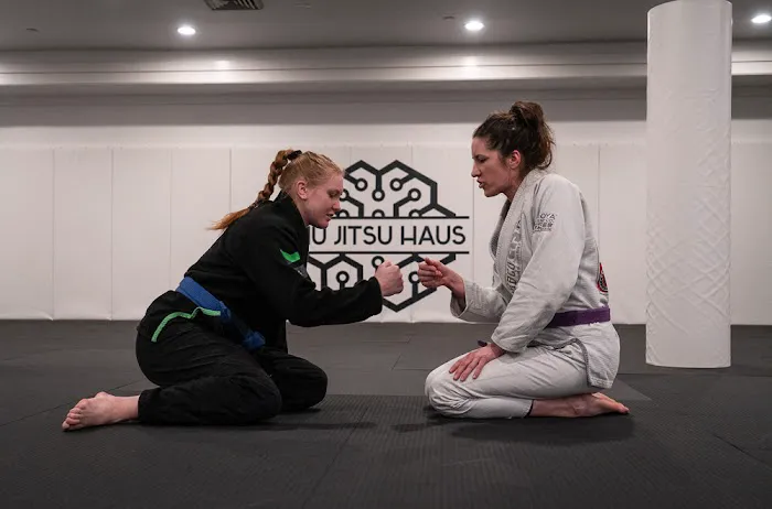 JIU JITSU HAUS Picture 1