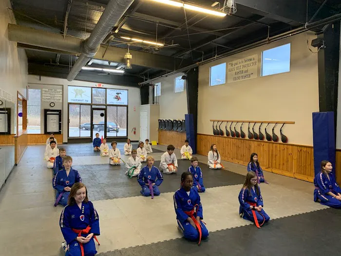 United Martial Arts Centers Picture 8
