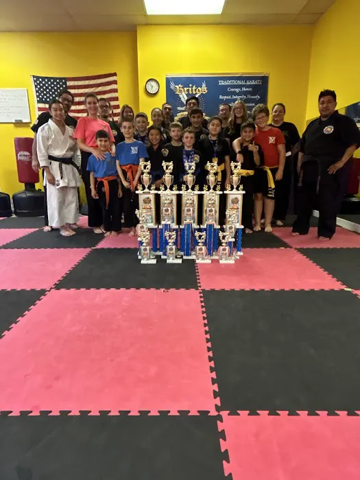 Britos Martial Arts LLC Picture 4