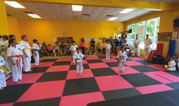 Britos Martial Arts LLC Picture 2