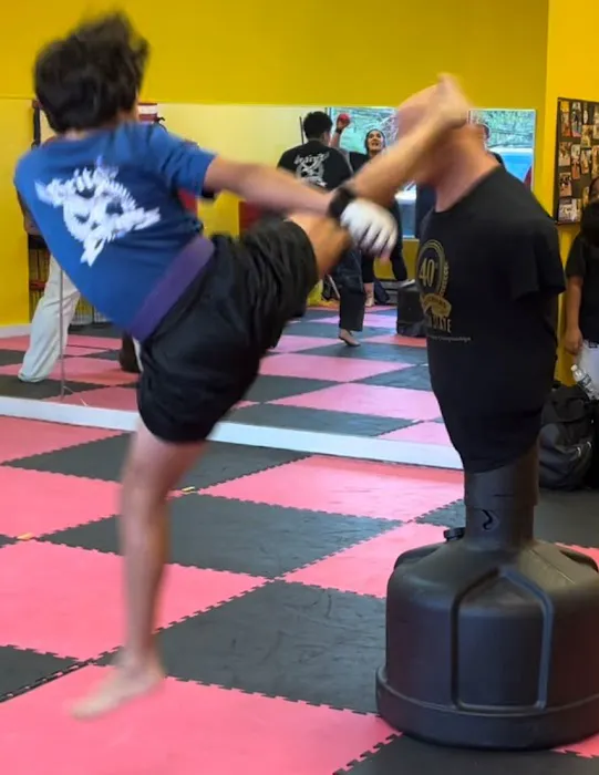 Britos Martial Arts LLC Picture 3