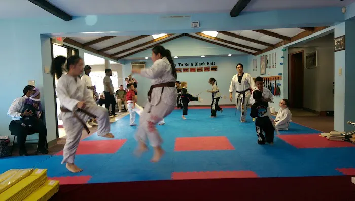 US Family Taekwondo Center Picture 9