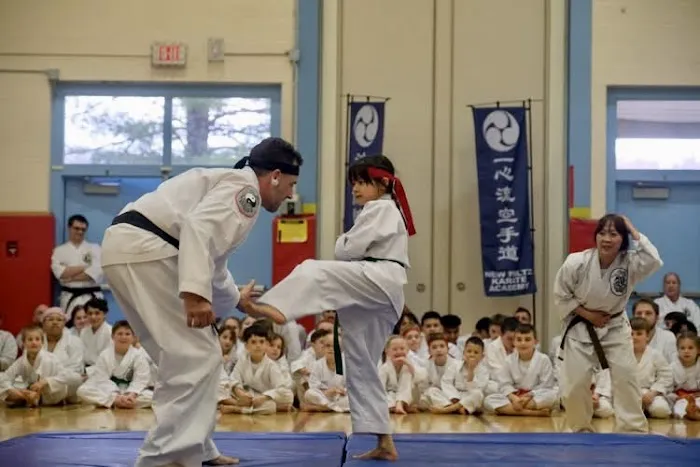 Traditional Okinawan Karate of Montgomery Picture 1