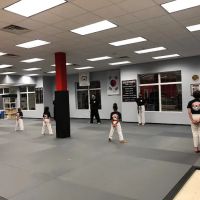Trinity Martial Arts ico