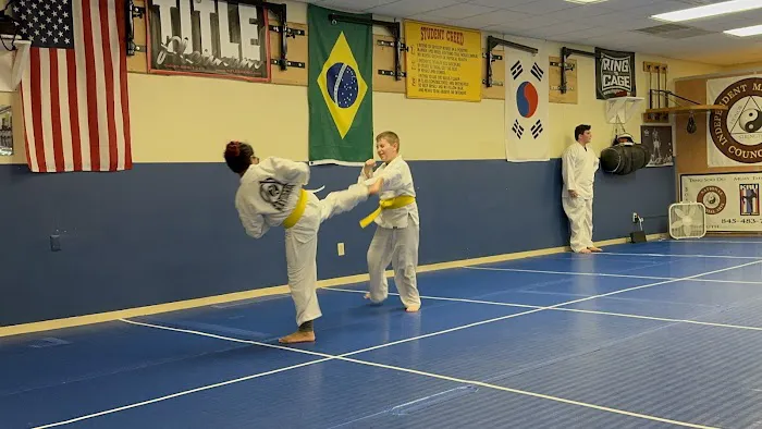 National Martial Arts Picture 4