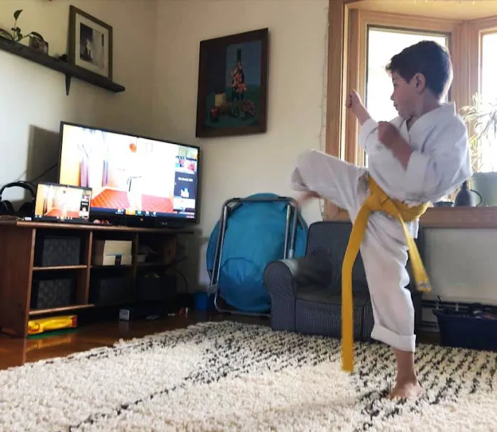 Traditional Okinawan Karate of Pleasant Valley Picture 5
