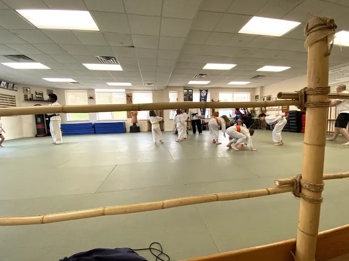Traditional Okinawan Karate of Pleasant Valley Picture 2