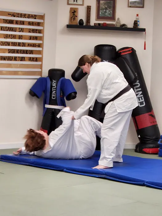 Traditional Okinawan Karate of Pleasant Valley Picture 3