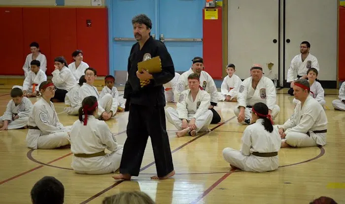Traditional Okinawan Karate of Pleasant Valley Picture 10