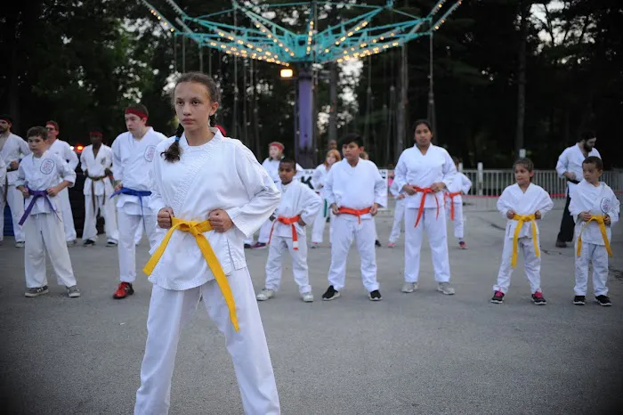 Traditional Okinawan Karate of Pleasant Valley Picture 6