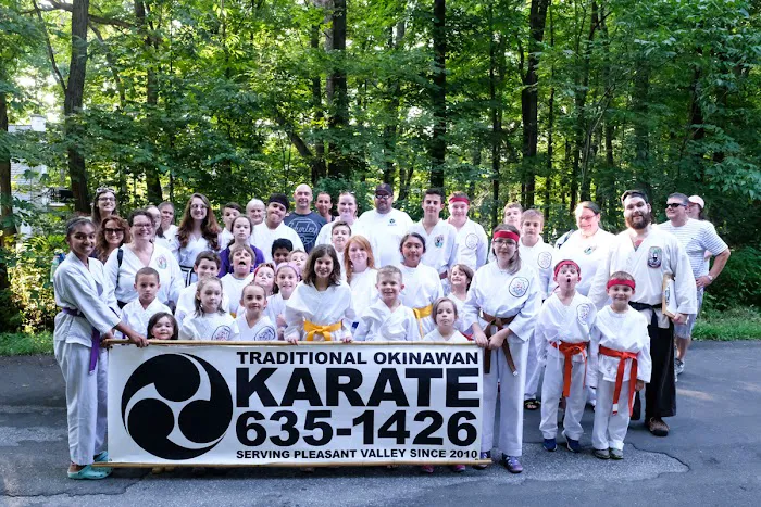 Traditional Okinawan Karate of Pleasant Valley Picture 9