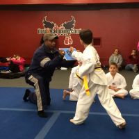 Ultimate Martial Arts & Kickboxing ico