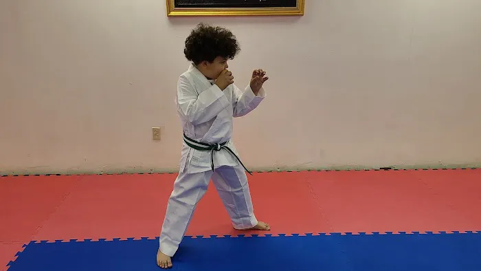 Ssang Soo Do Academy of Martial Arts Picture 3