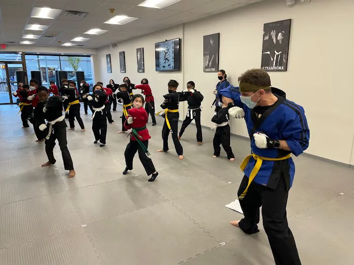 Action Karate Main Line Picture 2