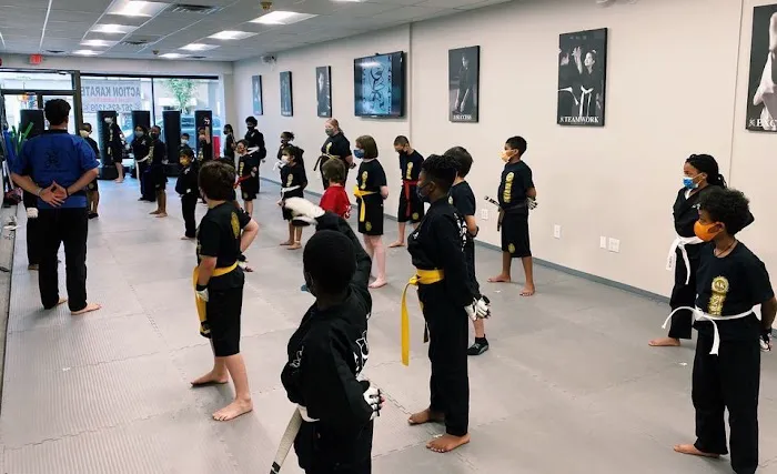 Action Karate Main Line Picture 5
