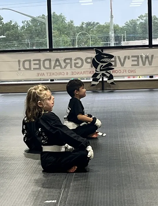 Action Karate Main Line Picture 4