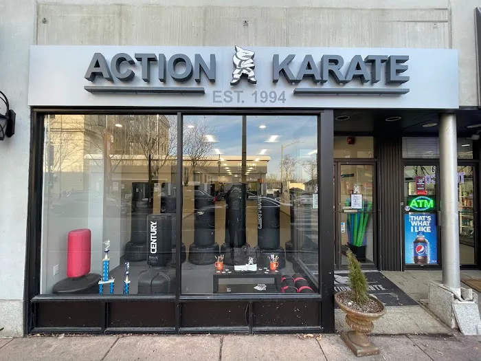 Action Karate Main Line Picture 7
