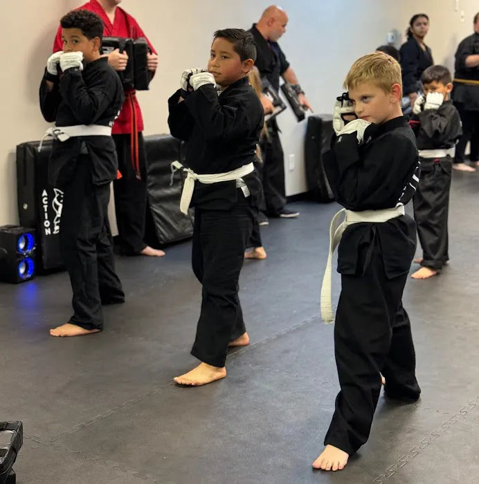 Action Karate Main Line Picture 8