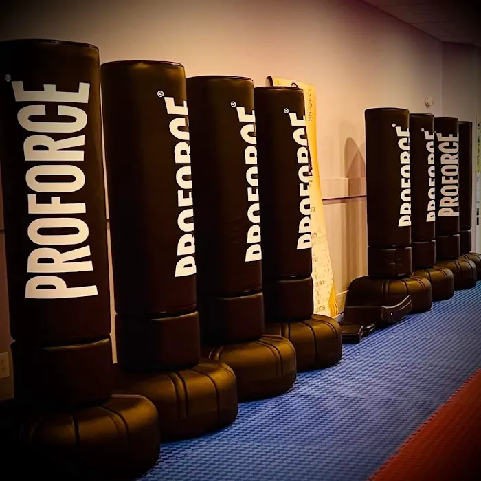 Ed Rumick Karate & Fitness Picture 4