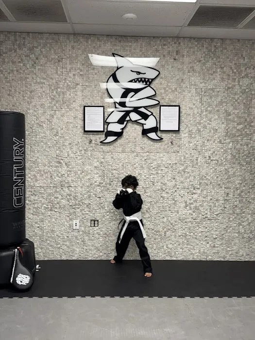 Action Karate Doylestown Picture 3