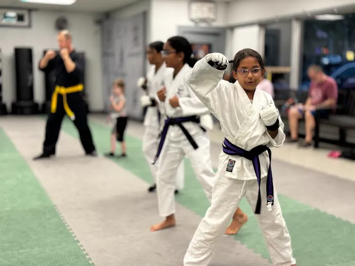 Action Karate Doylestown Picture 8