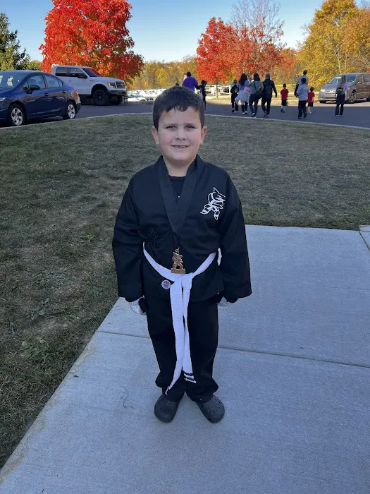 Action Karate Doylestown Picture 4