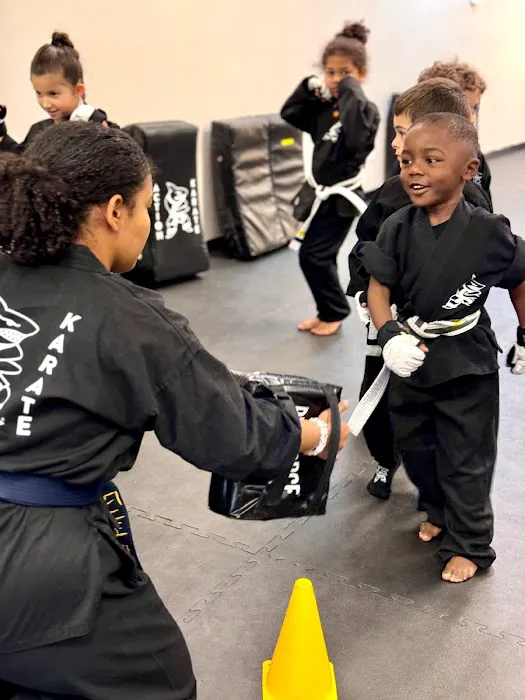Action Karate Doylestown Picture 9
