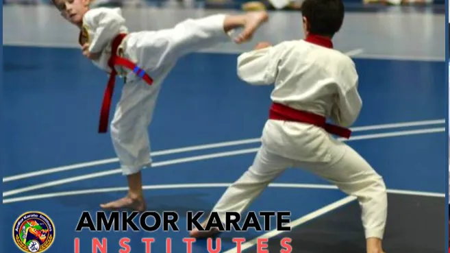 AmKor Karate Institutes, Bryn Mawr Picture 7