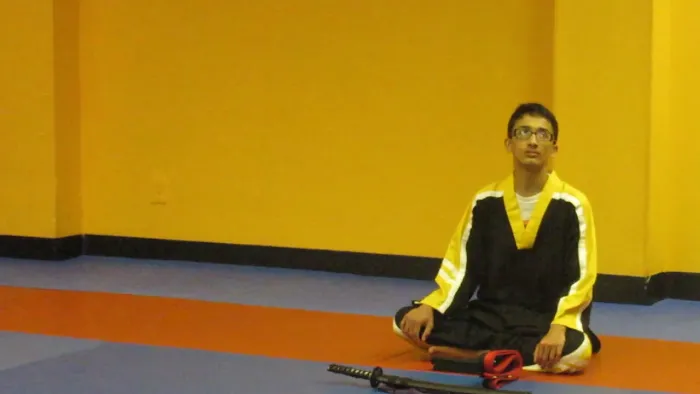 Mr. A's Martial Arts Picture 3