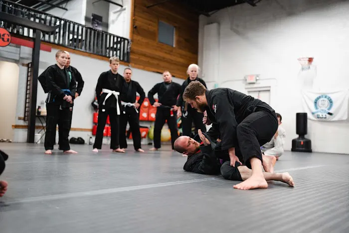 Dragon Gym Mainline - TKD, BJJ Picture 1