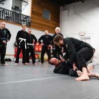 Dragon Gym Mainline - TKD, BJJ ico