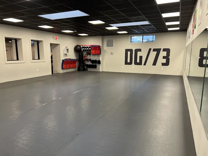 Dragon Gym Mainline - TKD, BJJ Picture 2