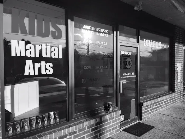 Dragon Gym Mainline - TKD, BJJ Picture 3