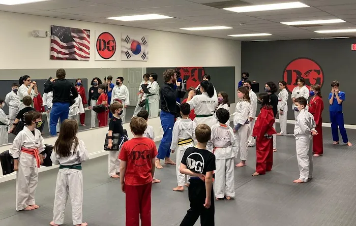 Dragon Gym Mainline - TKD, BJJ Picture 9