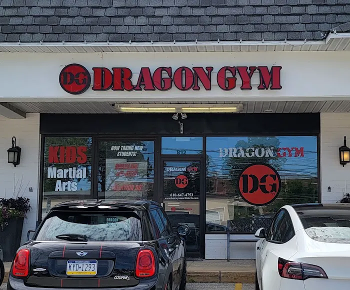 Dragon Gym Mainline - TKD, BJJ Picture 10