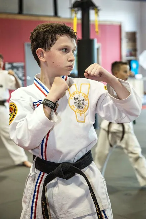 ATA Martial Arts of Royersford Picture 5