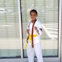 ATA Martial Arts of Royersford ico