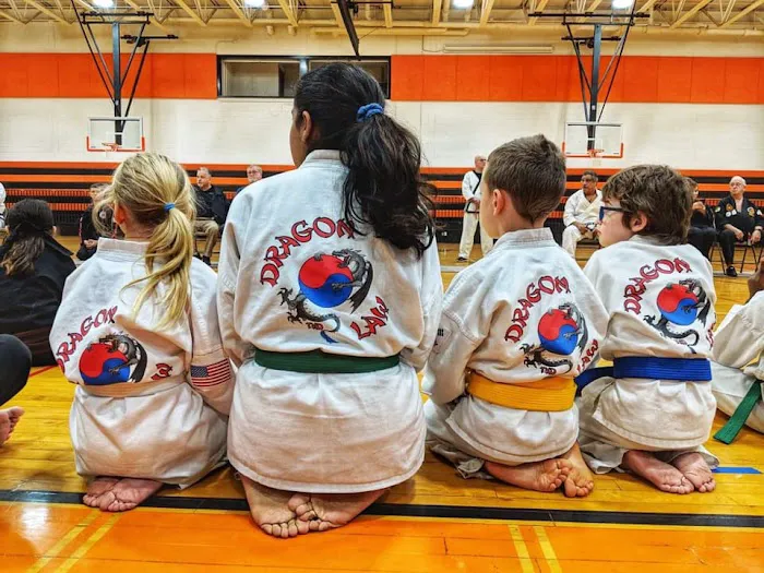 Dragon Law TKD Picture 3