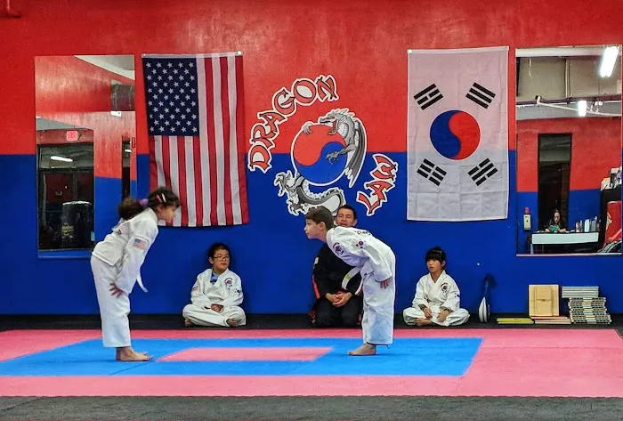 Dragon Law TKD Picture 6