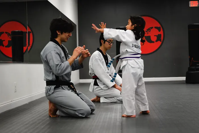Dragon Gym Phoenixville - TKD, BJJ, Kids Martial Arts Picture 1