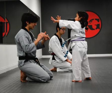 Dragon Gym Phoenixville - TKD, BJJ, Kids Martial Arts