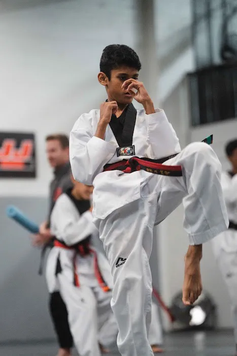 Dragon Gym Phoenixville - TKD, BJJ, Kids Martial Arts Picture 8