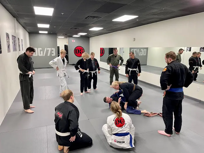 Dragon Gym Phoenixville - TKD, BJJ, Kids Martial Arts Picture 6