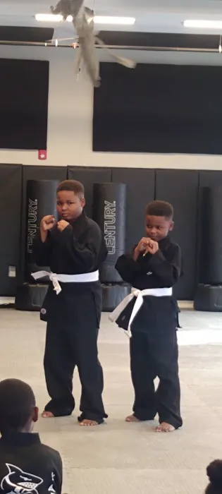 Action Karate Fairmount Picture 2