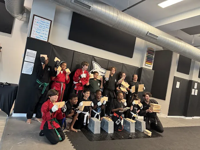 Action Karate Fairmount Picture 3