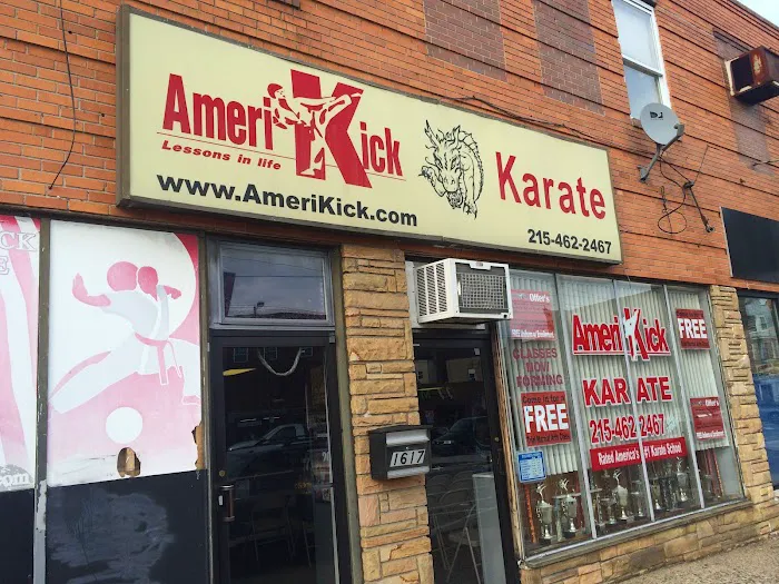 Amerikick Karate Picture 9