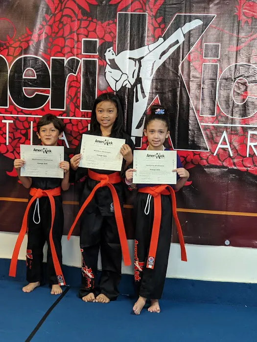 Amerikick Karate Picture 10