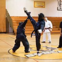World Champion Martial Arts ico